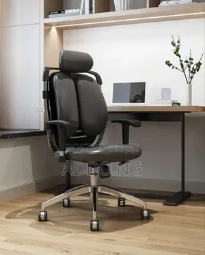 Office Kidney Chair