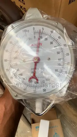 Hanging Scale 100kg
