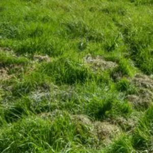 1,800sqm* Bare Land and Mixed Use (CBD) by Imax