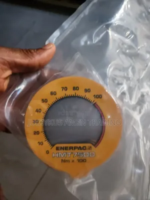 Enerpac Complete Classic Torque Wrench Pump.