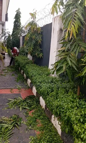 Gardening Services