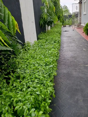 Gardening and Landscaping