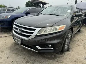 Honda Accord Crosstour EX-L AWD 2013 Gray