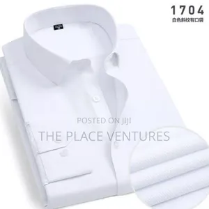 Long Sleeve Xxl, L, S M | White Plain Shirts