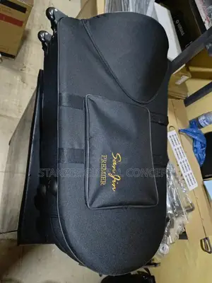 Professional Gold Euphonium
