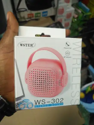 Wester Speaker