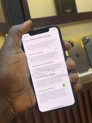 Apple iPhone 11 Pro Max 256 GB Gray