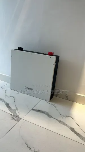 5kwh Dyness Lithium Ion Battery