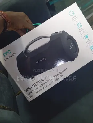 Ws-Ultra 60W Portable Wireless Outdoor Speaker