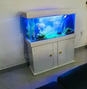 Portable Imported and Local Aquarium Design