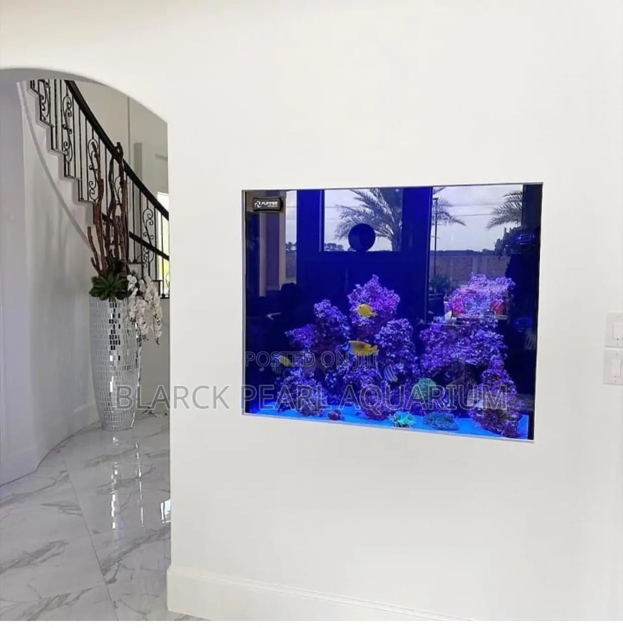 Portable Imported and Local Aquarium Design