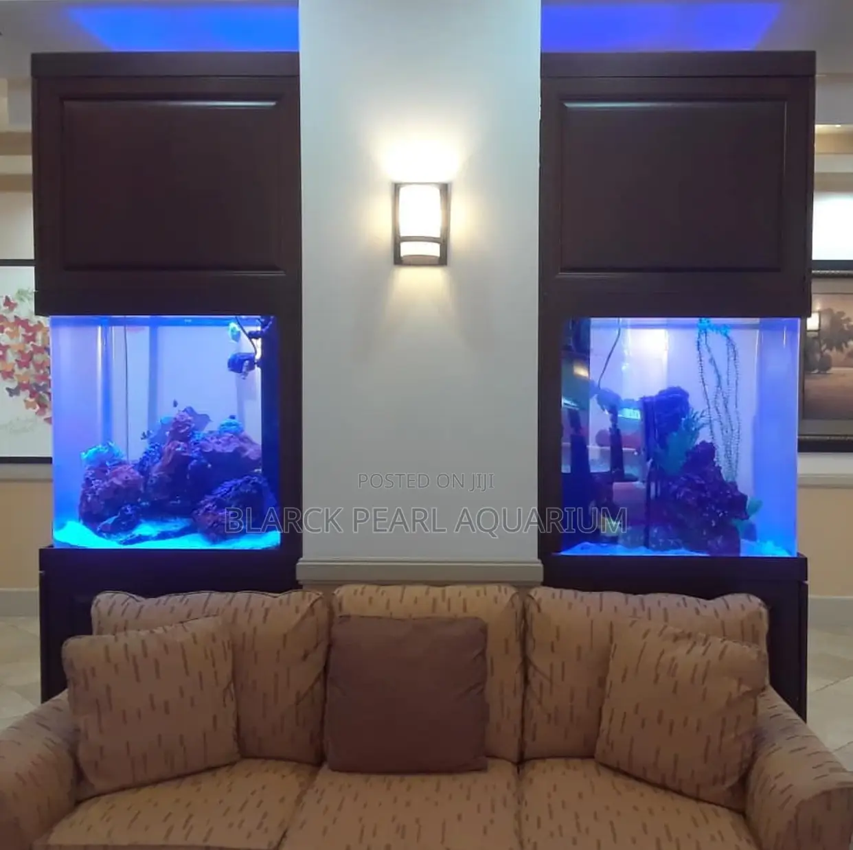 Portable Imported and Local Aquarium Design