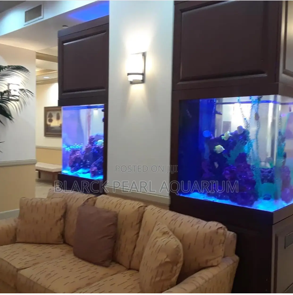 Portable Imported and Local Aquarium Design