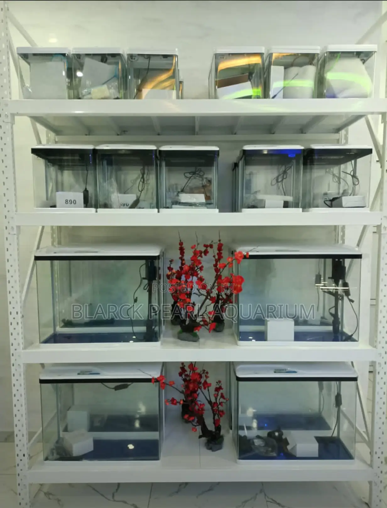 Portable Imported and Local Aquarium Design