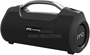 Ws-Ultra 60W Portable Wireless Outdoor Speaker