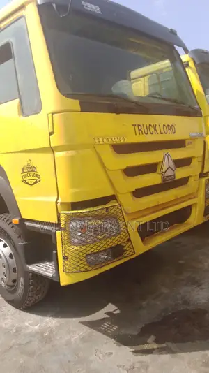 30tons 2024 Howo Truck Forsale