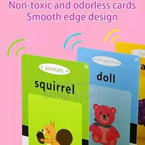 Talking Rechargeable Flash Card Reader for Kids