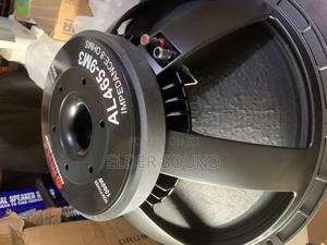 18” Omax Professional Naked Speaker