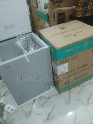 Best and Affordable 142L Hisense Chest Freezer Fc180sh
