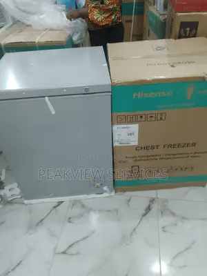Newly Produced 142L Hisense Chest Freezer Fc180sh