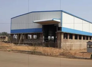 Warehouse Construction/Steel Roof Shed Fabrication