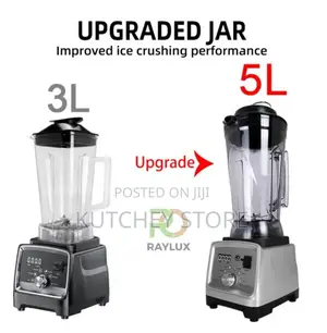 Raylux Bazooka-Engine Commercial Blender - 5l