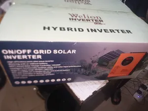 Welion 6.2kva on/Off Grid Solar Inverter