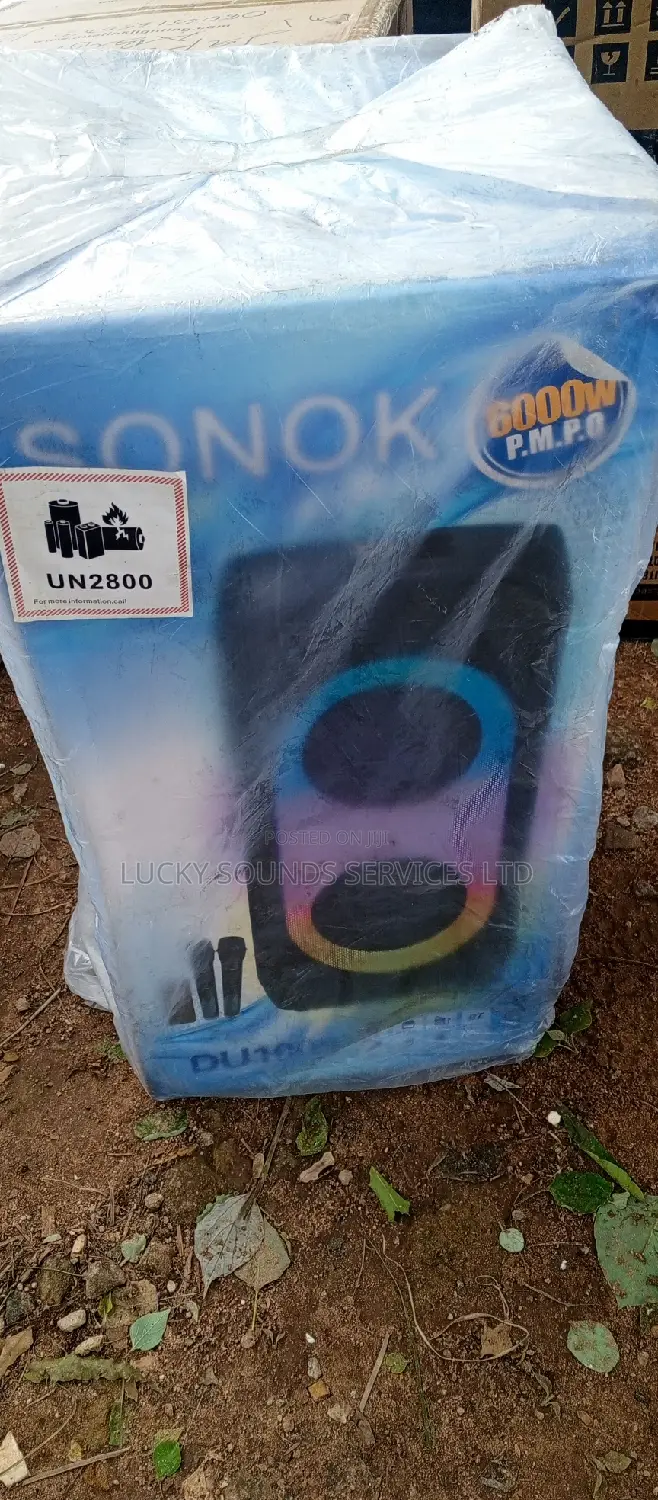 Professional Party Speaker Double Pa System