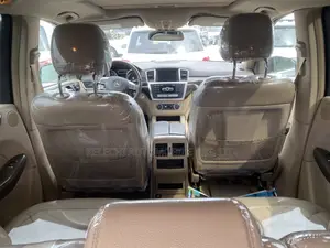 Mercedes-Benz M Class 2014 Gold
