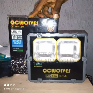60wstts Qcwolves Floodlight
