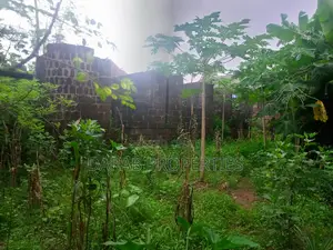 2 Plot of Land for Sale at Command