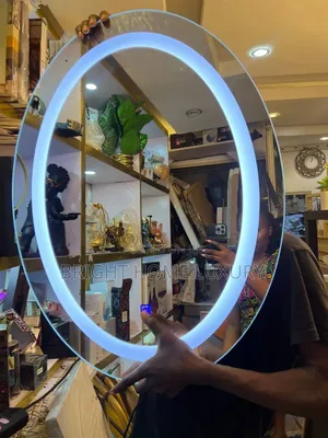 Wall Mounted Oval Led Mirror
