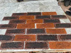 South Africa Bricks 07*30 Rose