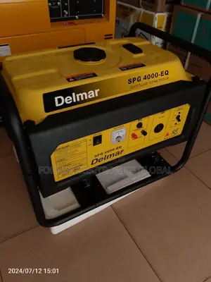 Delmar Generator
