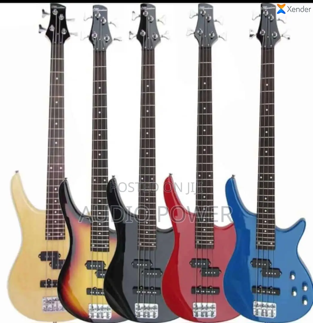 5 Strings Bass Guitar