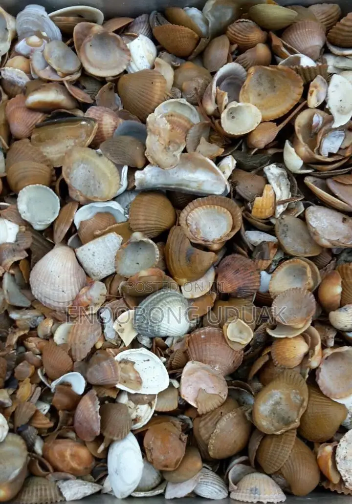 Oyster Shell for Calcium Mix