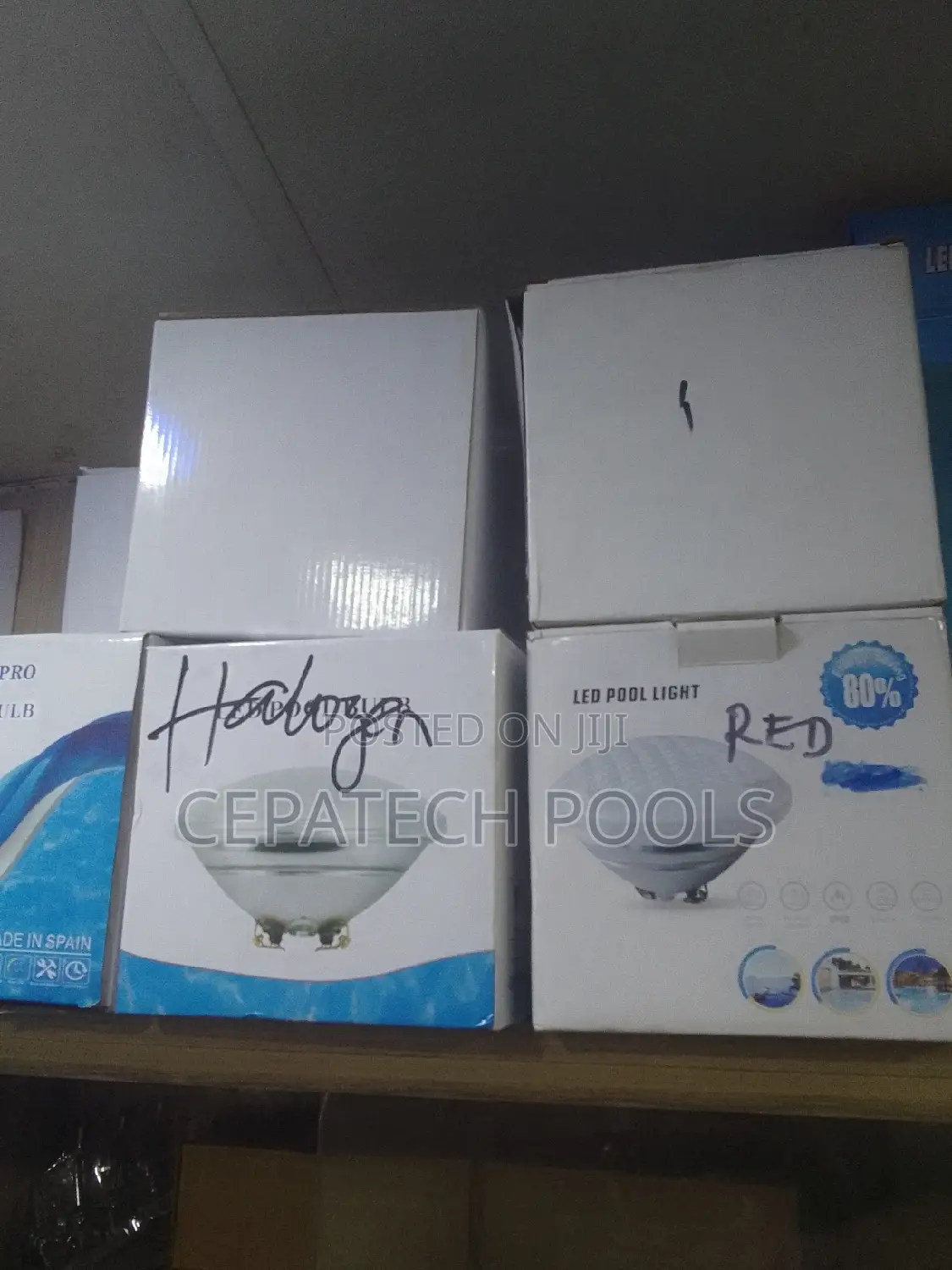 Swimming Pool Replacement Bulb