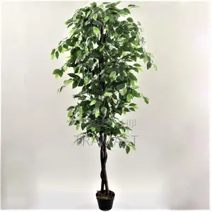 Artificial Ficus Plant