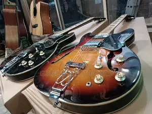 Epiphone Professional Jazz Guitar