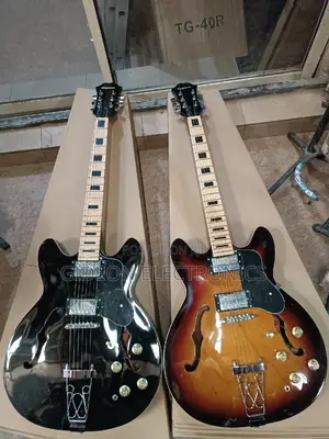 Epiphone Professional Jazz Guitar