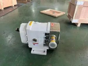 Dn40 Bare Shaft Lobe Pump