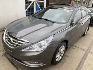 Hyundai Sonata 2013 Gray