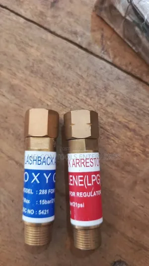 Safety Flashback Arrestor