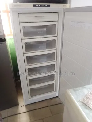 Standing Freezer for Block or Home Use