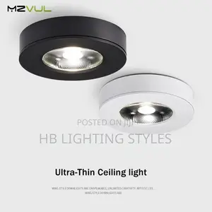 LED Downlight Ultra Thin Ceiling Light