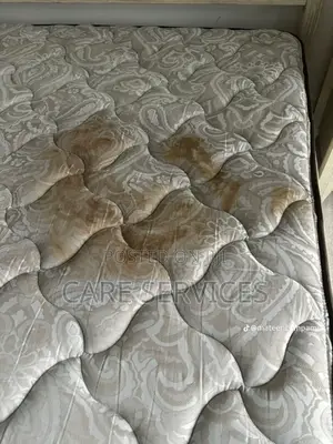 Professional Mattress Cleaning and Stain Remover