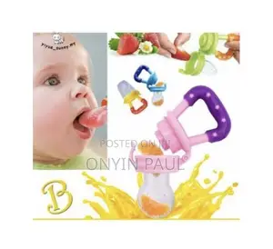 Baby Fruit Teether Pacifier( Comes With Extra Teether)