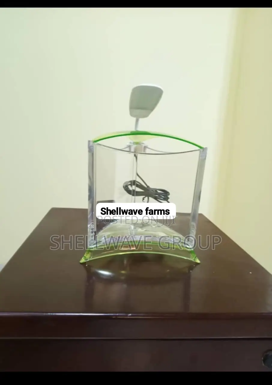 Aquarium Tank With Led Light