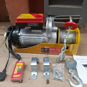 Electric Holst Wireless 1000kg 30m 220v