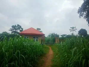 200 Acres of Commercial Land for Sale With C of O in Ibadan
